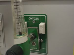 oxygen-69134-m.jpg