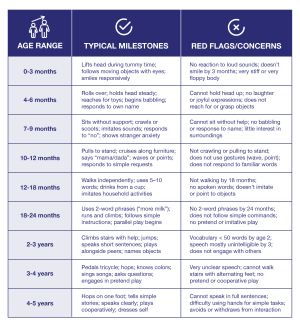 Developmental milestones chart highlighting typical milestones and red flag concerns for ages 0-5.