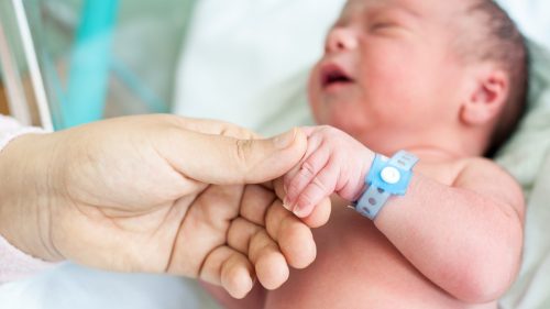 Newborn baby with hospital identification bracelet holding adult finger.