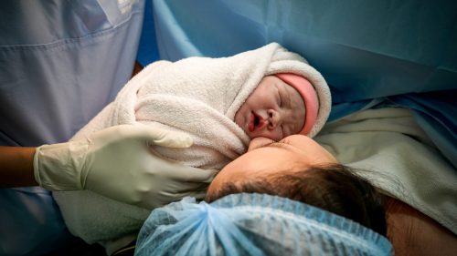 Newborn resting on adult, nurse's hand providing gentle care in hospital setting.