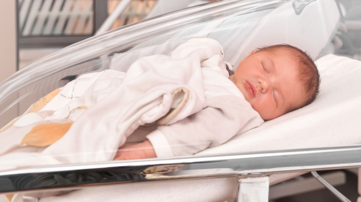 Newborn peacefully sleeping in hospital bassinet, highlighting medical care setting.