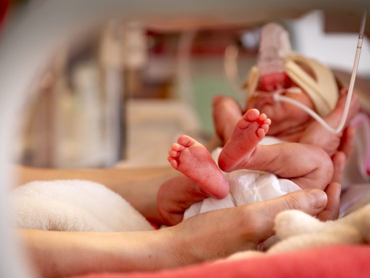 Tiny infant cradled in neonatal intensive care, highlighting vulnerability and care.