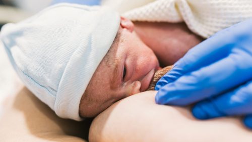 Newborn baby nursing in hospital, healthcare professional's gloved hand gently supporting.
